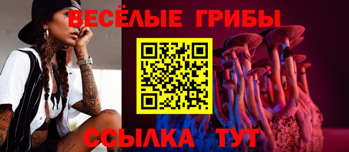 Псилоцибиновые грибы MAGIC MUSHROOMS Калуга