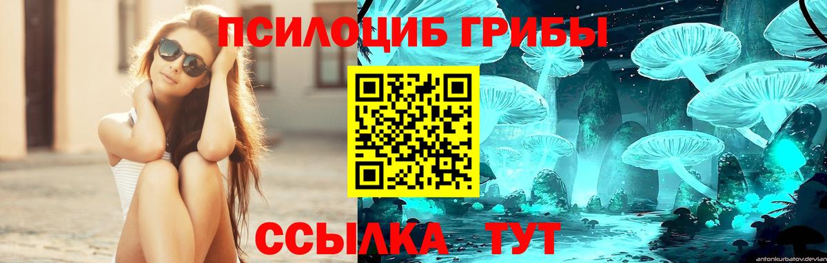 Псилоцибиновые грибы мухоморы  Псилоцибиновые грибы ЛСД  Калуга  Вход с VPN 